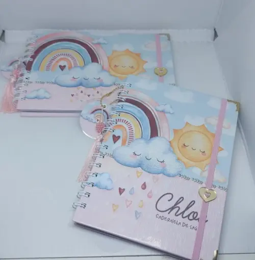 Kit Caderneta e Livro do Bebe Chuva de Amor