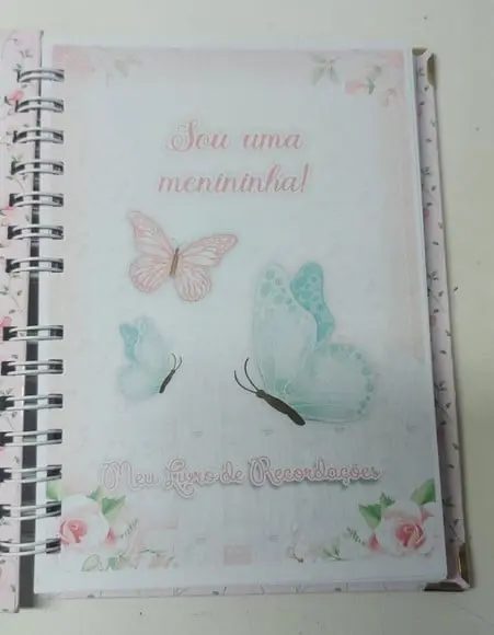 Kit Caderneta e Livro do Bebê