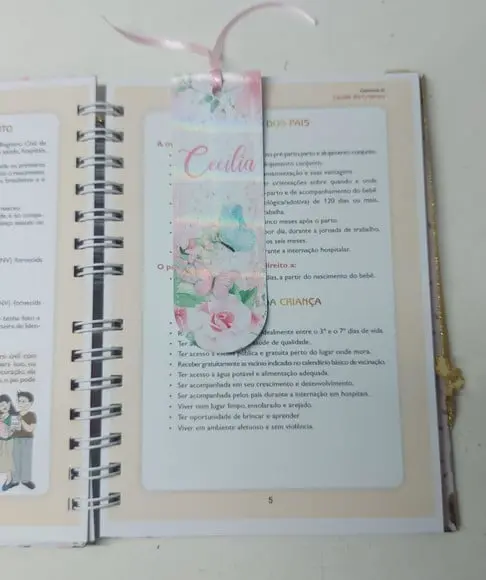 Kit Caderneta e Livro do Bebê