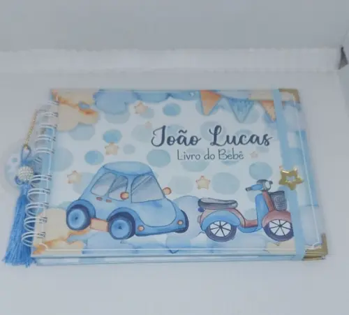 Kit Livro do Bebê + Caderneta Vacina Carrinho