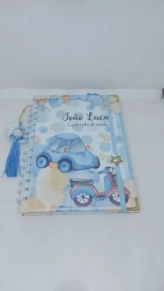 Kit Livro do Bebê + Caderneta Vacina Carrinho