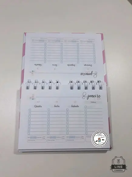 Mini planner 2019