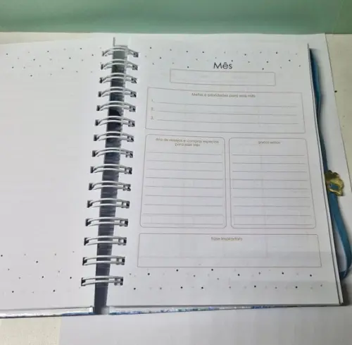 Planner Financeiro Permanente