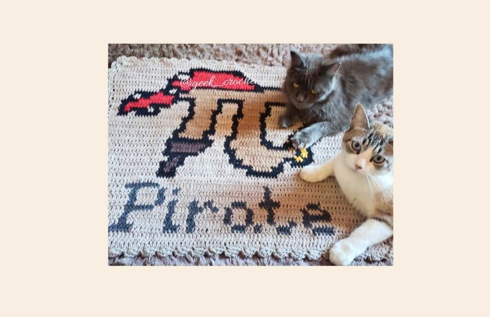 🐦🥧 Tapete πrate em Crochê Artesanal 🥧🐦 + Frete
