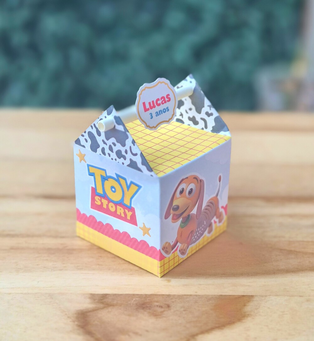 Kit Caixinhas Personalizadas 15 Peças Festa Lembrancinha Toy Sto