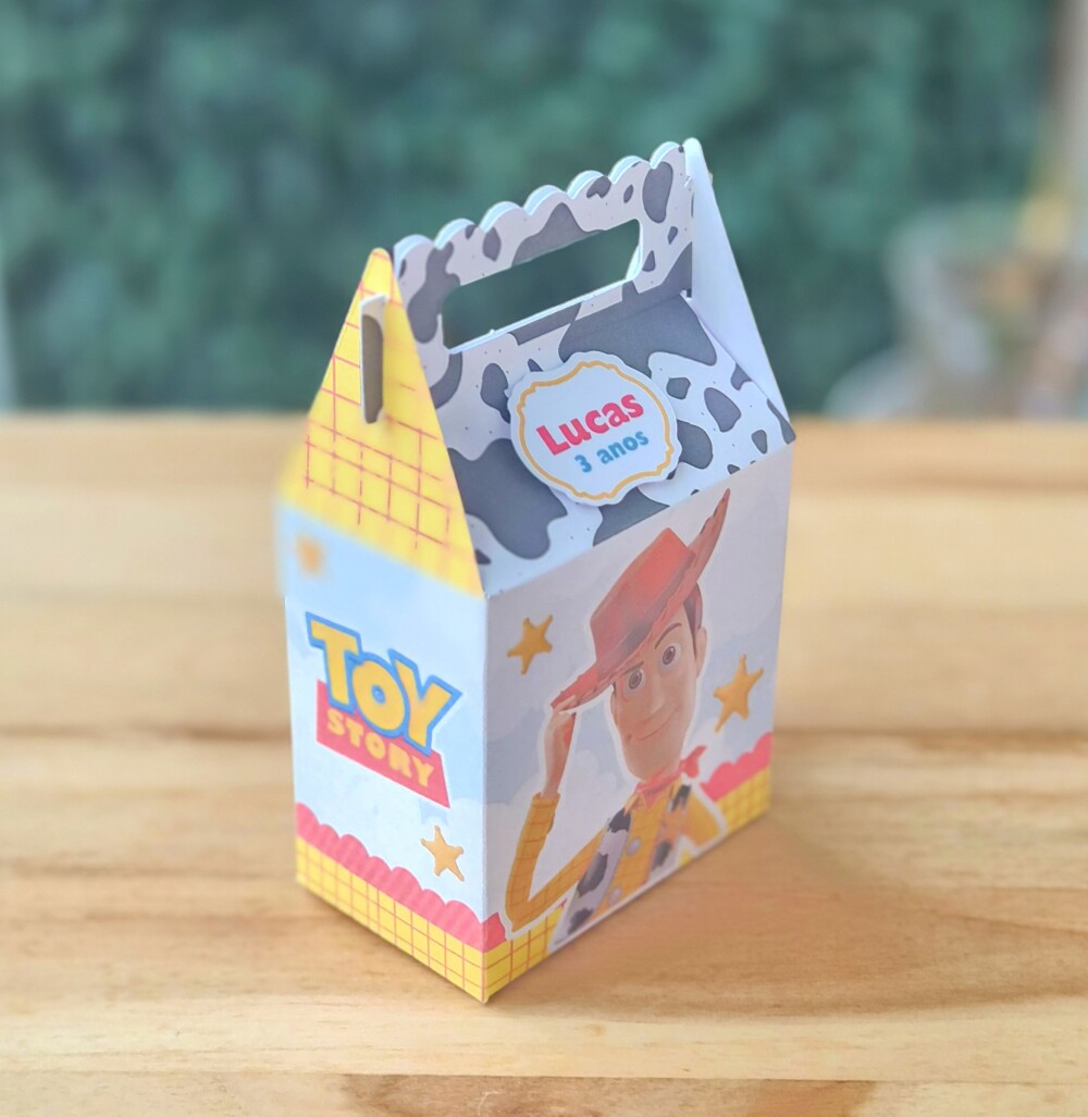 Kit Caixinhas Personalizadas 15 Peças Festa Lembrancinha Toy Sto