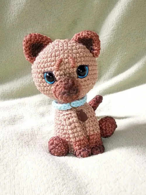 Cães e gatos