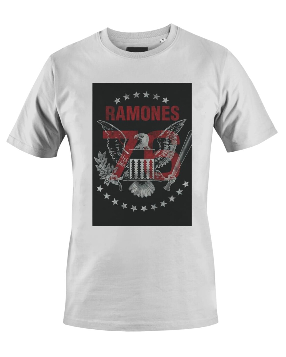 Camiseta Camisa Ramones Rock Band