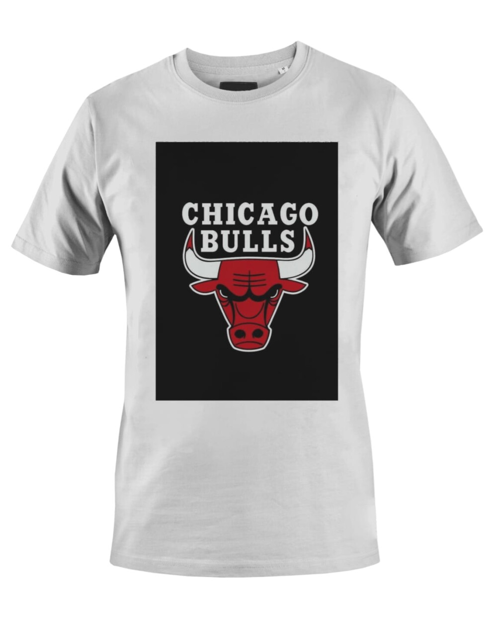 Camiseta Camisa Chicago Bulls