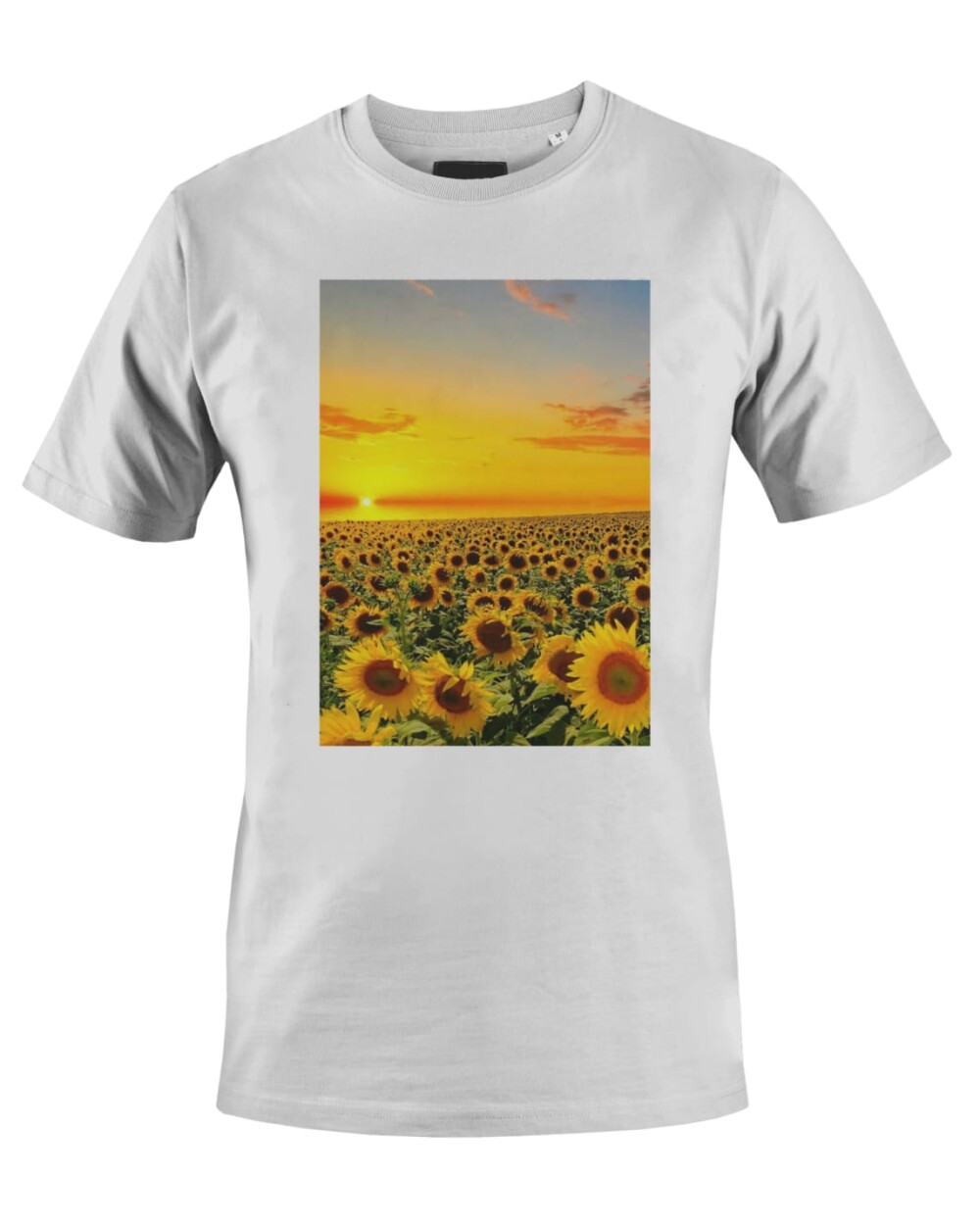 Camiseta Camisa Campo Girassóis