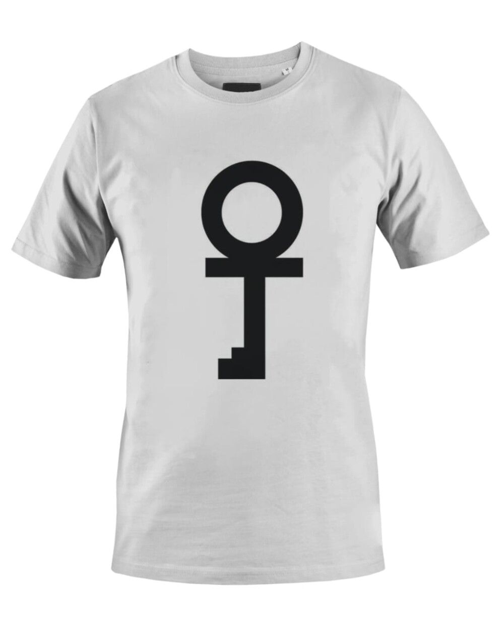 Camiseta Camisa Raul Seixas Viva a sociedade alternativa chave