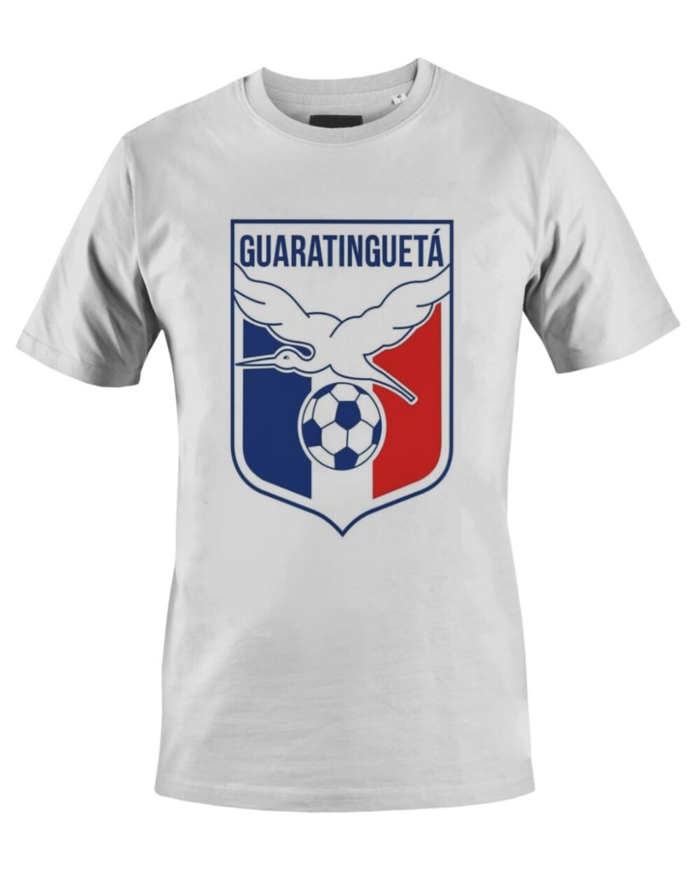 Camiseta Camisa Futebol Guaratinguetá