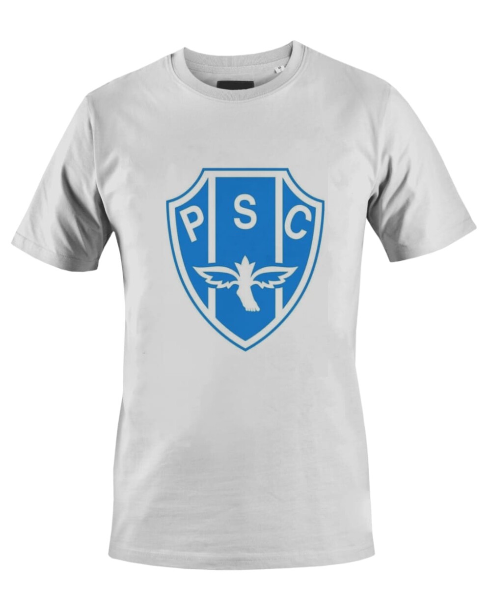 Camiseta Camisa Futebol Paysandu