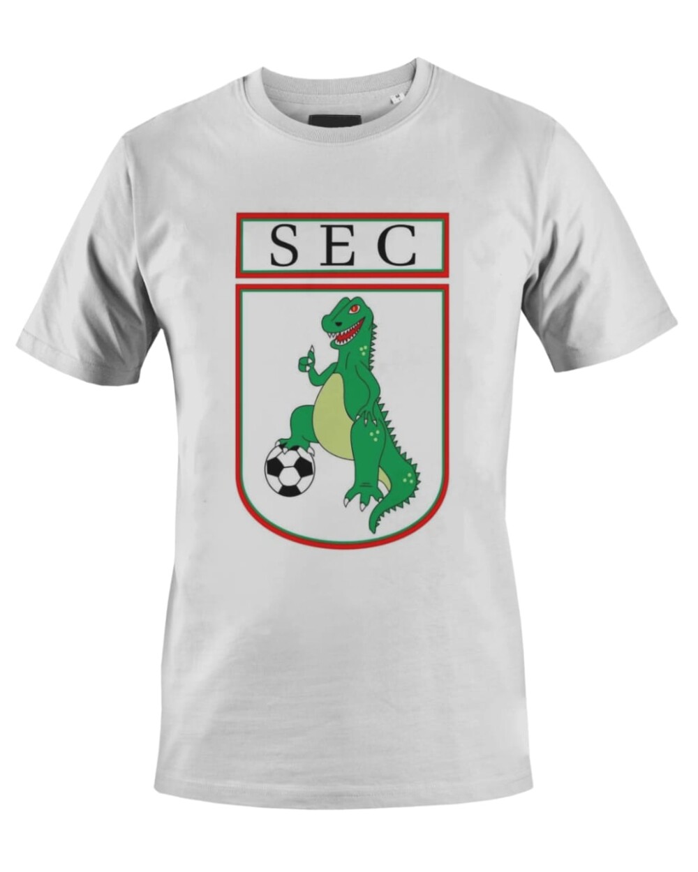 Camiseta Camisa Futebol Sousa