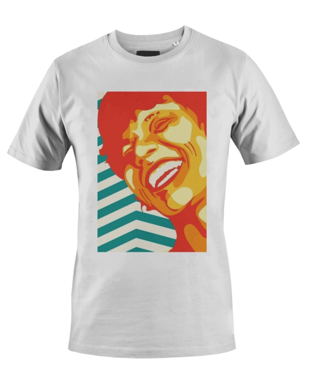 Camiseta Camisa Cássia Eller mpb