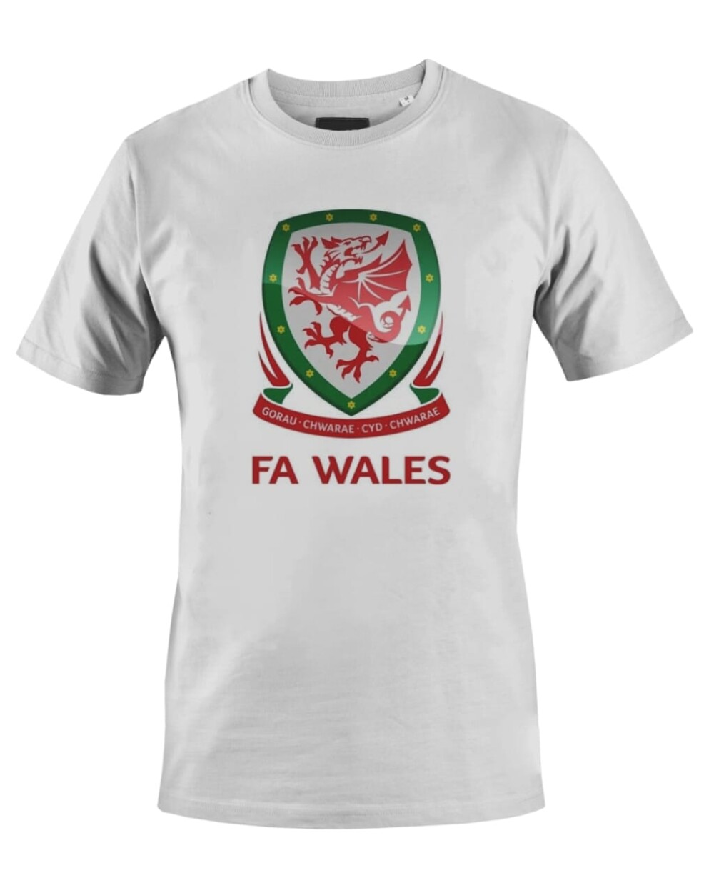 Camiseta Camisa Seleção Futebol País de Gales