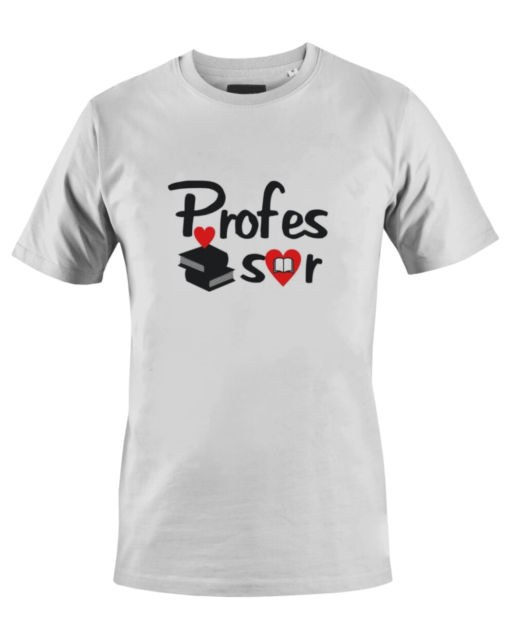 Camiseta Camisa Faculdade Profissão Professor