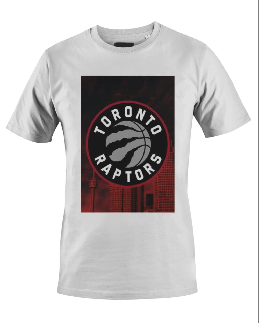 Camiseta Camisa Toronto Raptors Arte Prime