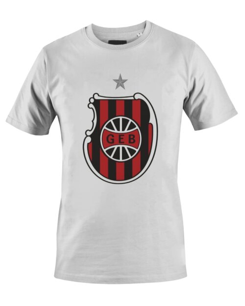 Camiseta Camisa Futebol Brasil de Pelotas