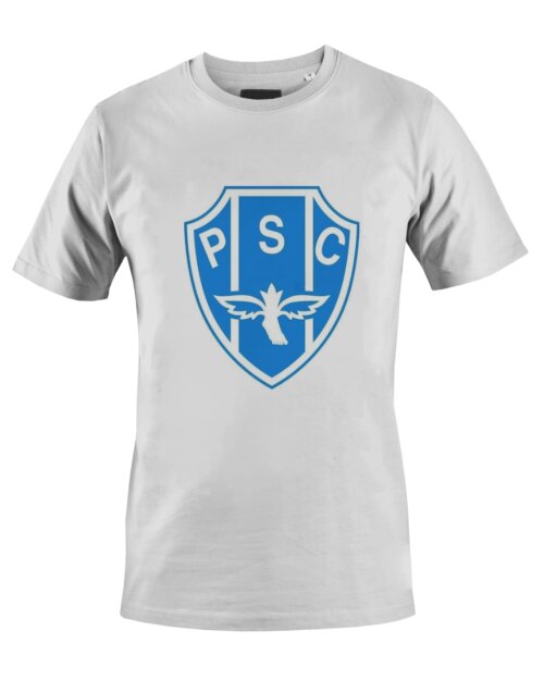 Camiseta Camisa Futebol Paysandu