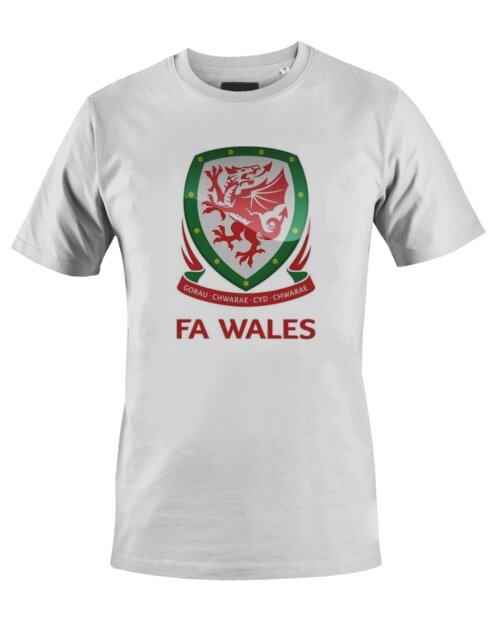 Camiseta Camisa Seleção Futebol País de Gales