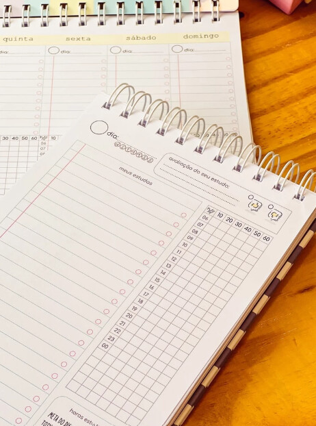 Planner Diário de Estudos - Método de estudo coreano (Tamanho A