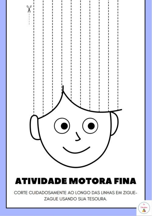Atividades Coordenação Motora Fina- Cabelos PDF