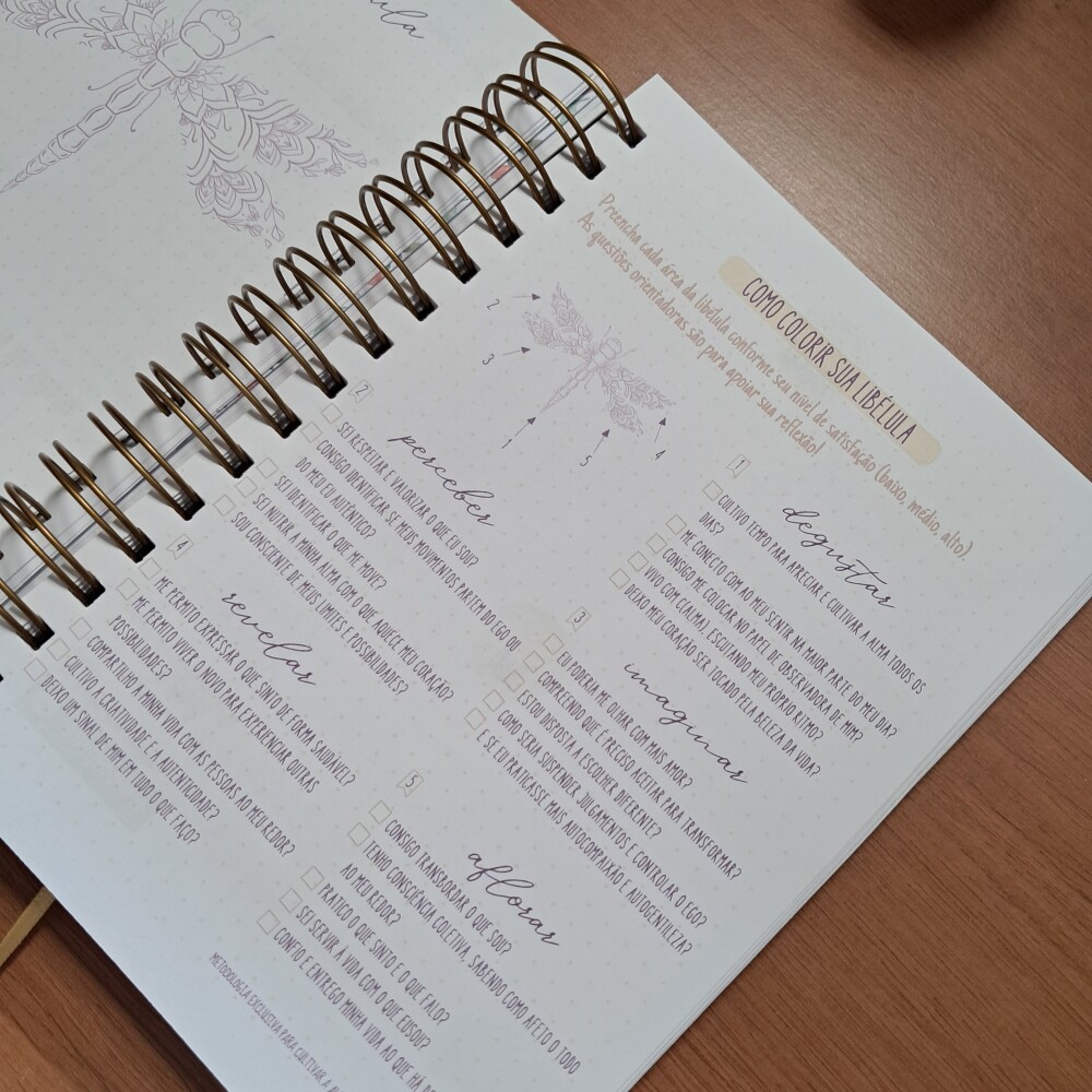 Planner Semanal Para Cultivar a Alma 2027 {em produção!}