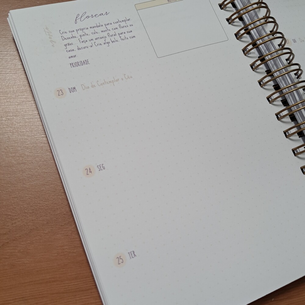 Planner Semanal Para Cultivar a Alma 2027 {em produção!}