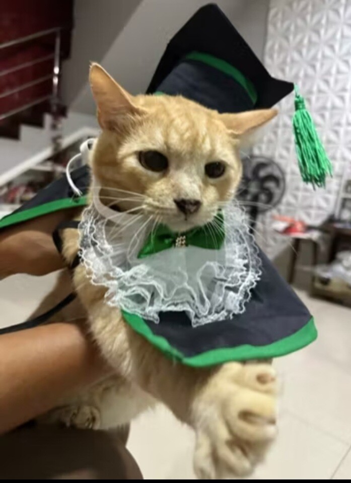 Beca de Formatura Pet