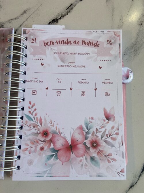 Kit Bebê Personalizado Borboleta Rosa