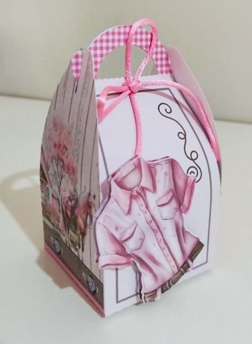 KIT FESTA PERSONALIZADO BOIADEIRA - COWGIRL (20 UNIDADES)