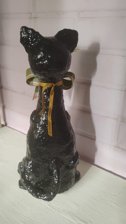 Gato Preto Mimoso