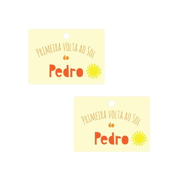Tag de Lembrancinha - Festa Primeira Volta ao Sol (mod 1)