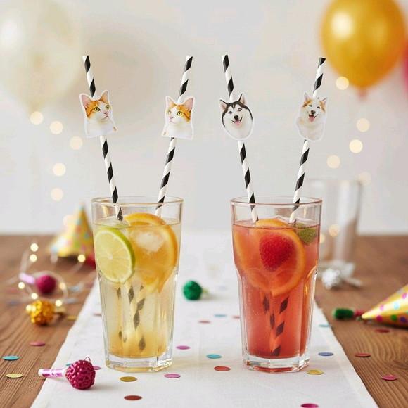 Canudo de Papel com Foto Carinha de Festa Pet