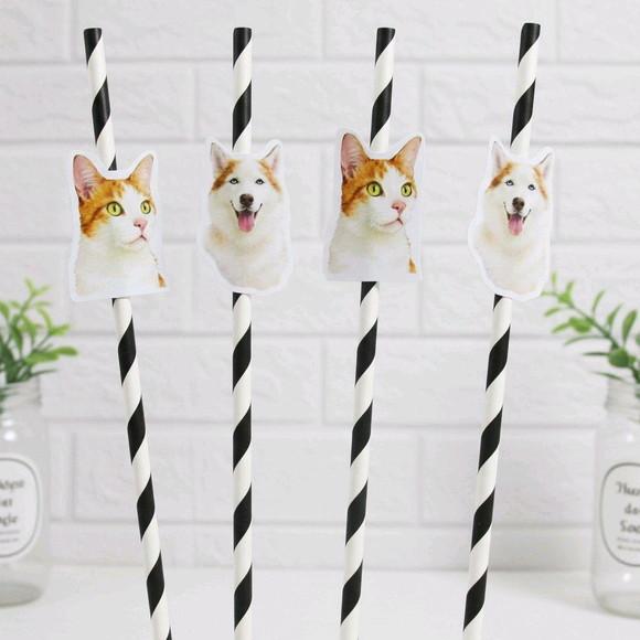Canudo de Papel com Foto Carinha de Festa Pet