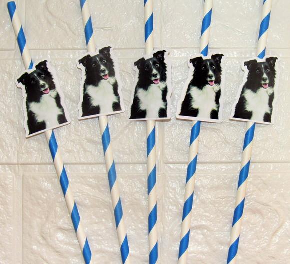 Canudo de Papel com Foto Carinha de Festa Pet