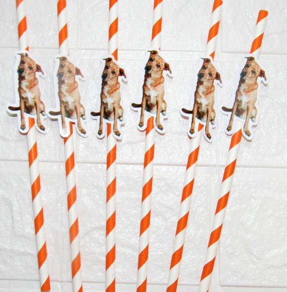 Canudo de Papel com Foto Carinha de Festa Pet