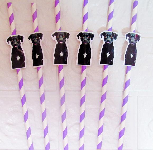 Canudo de Papel com Foto Carinha de Festa Pet