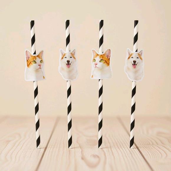 Canudo de Papel com Foto Carinha de Festa Pet
