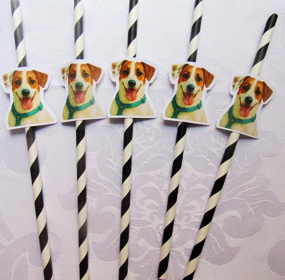 Canudo de Papel com Foto Carinha de Festa Pet