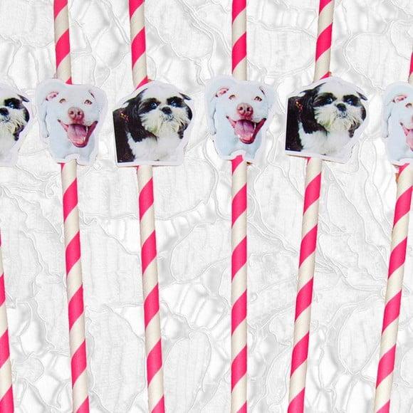 Canudo de Papel com Foto Carinha de Festa Pet