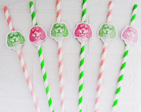 Canudo de Papel com Foto Carinha de Festa Pet