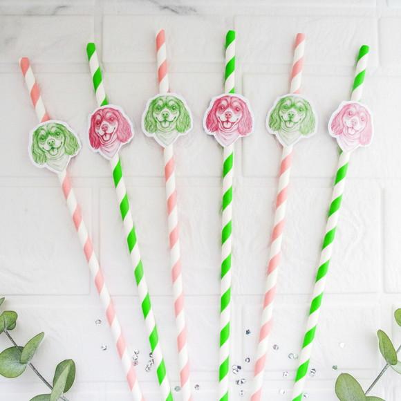 Canudo de Papel com Foto Carinha de Festa Pet