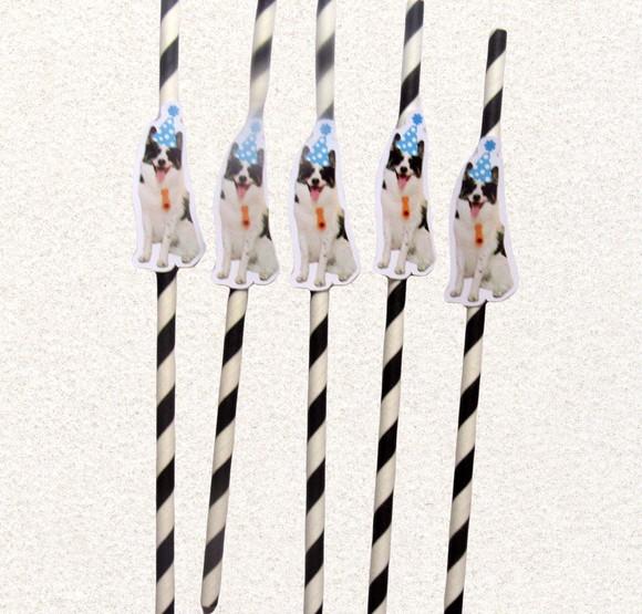 Canudo de Papel com Foto Carinha de Festa Pet