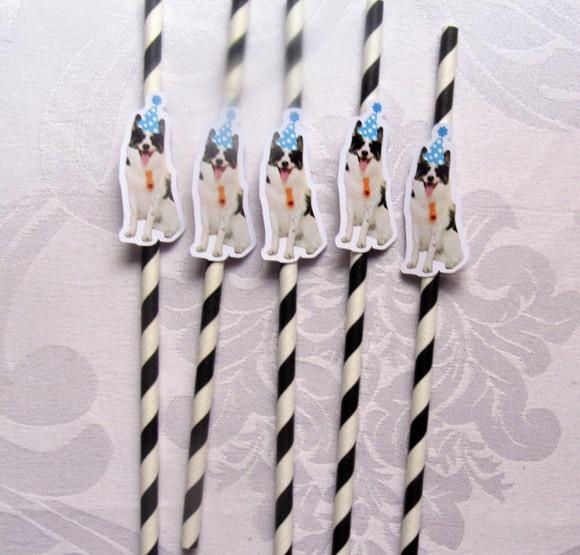 Canudo de Papel com Foto Carinha de Festa Pet