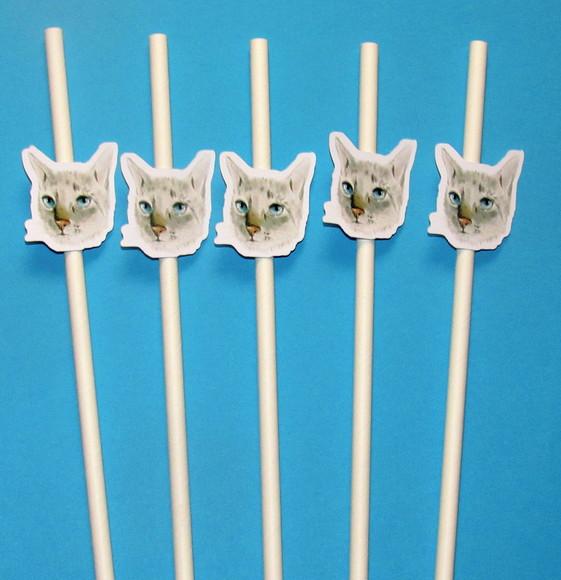 Canudo de Papel Personalizado Gatinho