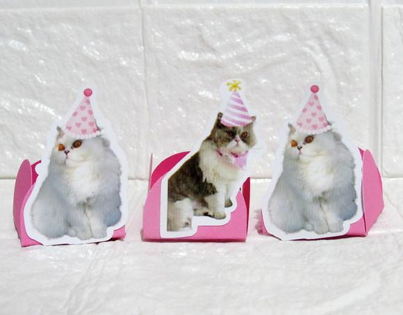 Forminha Carinha de Festa Pet Gatinha