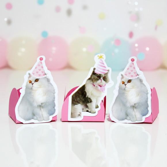 Forminha Carinha de Festa Pet Gatinha