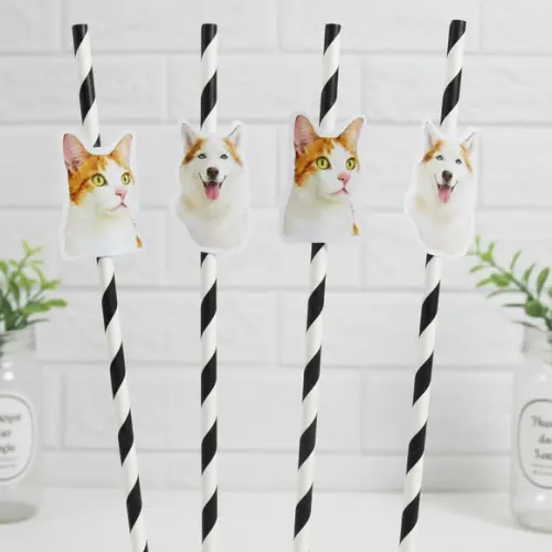 Canudo de Papel com Foto Carinha de Festa Pet